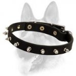 Spiked Leather Decorated Dog Collar For All Dog Breeds
