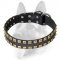 Extra Strong Leather Dog Collar with Fashion Exterior for Schutzhund Training