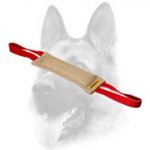 Splendid Jute Dog Bite Tug With Two Handles