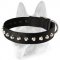 Gorgeous Wide Nylon Dog Collar With Nickle Pyramids