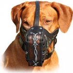 Barbed Wire Painted Leather Dog Muzzle for Attack/Agitation Training