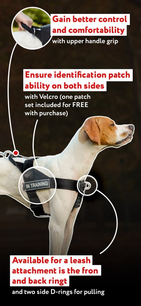 professional dog leads