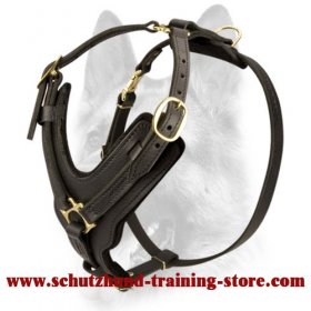 Leather Dog Functional Handcrafted Padded Schutzhund Harness