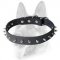 Medium Leather Dog Collar with 1 Row of Centered Spikes