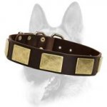 Handcrafted Leather Dog Collar With Vintage Massive Plates