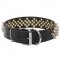 Rhomby Spiked Dog Collar for Stylish Walking