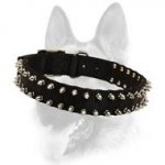 Custom Nylon Spiked Dog Collar-2 Rows of Spikes for All Dog Breeds