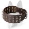 Extra Wide Leather Dog Collar with Silver-Like Spikes