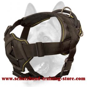 Elite Nylon Dog Harness-Field Top Notch Canine Training Equipment for All Dog Breeds