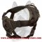 Elite Nylon Dog Harness-Field Top Notch Canine Training Equipment for All Dog Breeds