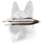 Any Weather Nylon Dog Triple Coupler