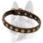 Special Gorgeous Leather Dog Collar With Dotted Circles