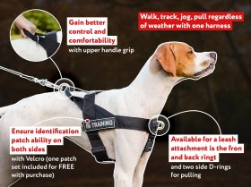Heavily Stitched Nylon Professional Dog Harness