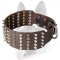 Super Wide Decorated Leather Dog Collar