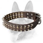 Splendid Leather Dog Collar Decorated with Spikes and Studs