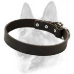 Designer Leather Dog Collar Meant For Schutzhund Training
