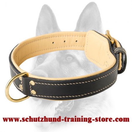 Royal Nappa Padded Hand Made Leather Dog Collar for All Breeds