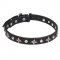 Leather Dog Collar with Chrome Plated Stars and Studs