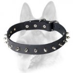 Medium Leather Dog Collar with 1 Row of Centered Spikes