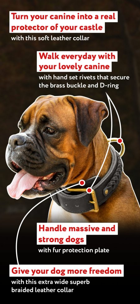 where to buy d rings for dog collars