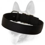 2 Ply Nylon Safe Dog Training Collar