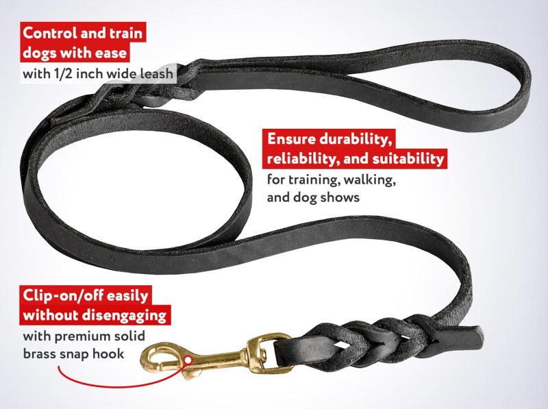 Handcrafted Genuine Leather Dog Leash