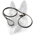 Splendid Leather Choke Collar Combo for Dog Training