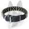 Leather Spiked Dog Collar for All Breeds