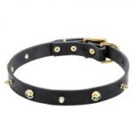 Leather Dog Collar with Brass Spikes and Skulls