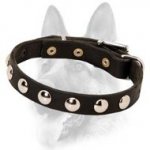 Smart Leather Dog Collar with Round Studs for Schutzhund Training