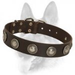 Luxury Leather Dog Collar with Designer Silver Conchos