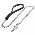 Stunning Dog Lead for Walking and Training