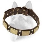 Worthy Leather Dog Collar Ornamented with Antiqued Plates and Pyramids