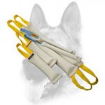 Doubled Bite Training Set for Powerful Dogs