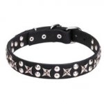 Posh Leather Dog Collar with Chrome Plated Fittings