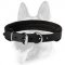 Padded Leather Collar for All Dog Breeds 1 inch (2.5 cm) width