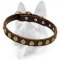 Special Gorgeous Leather Dog Collar With Dotted Circles