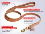 Marvellous Braided Leather Dog Leash