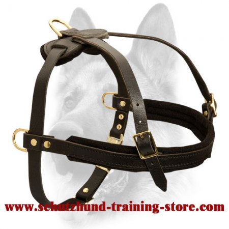 Pulling Leather Dog Harness-Any Dog Breed Training Harness