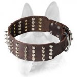 2 inch Leather Dog Collar with Studs and Spikes for Working Dogs