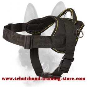 Multi-Purpose Lifetime Nylon Training Harness