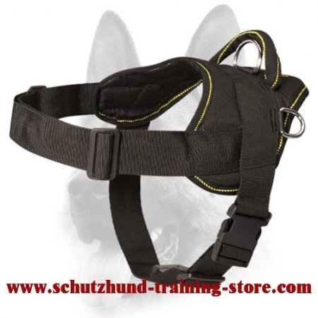 Multi-Purpose Lifetime Nylon Training Harness