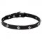 Narrow Leather Dog Collar with Chrome Plated Studs