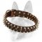 3 Rows Leather Spiked and Studded Dog Collar