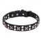 Posh Leather Dog Collar with Chrome Plated Fittings