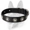 Designer Nylon Dog Collar with Silver Conchos - Extra Strong Training Collar