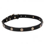 "Sunny Beams" Leather Dog Collar with Engraved Brass Studs