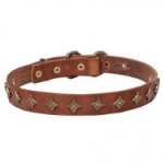 Narrow leather dog collar with old-like bronze decoration