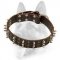 Designer Nylon Dog Collar With Spikes and Studs for Schutzhund Training