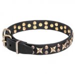 Leather Dog Collar with Old-Fashioned Stars and Studs